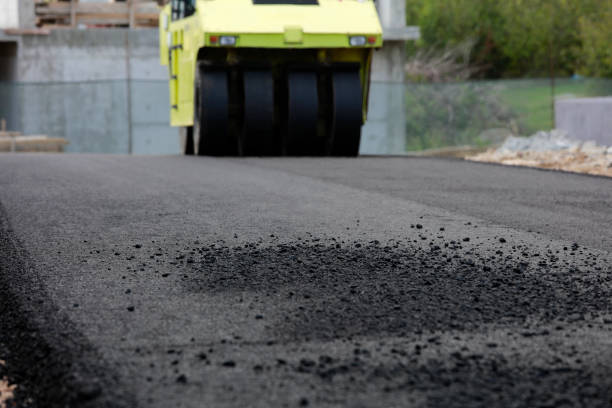 Best Local Driveway Pavers  in Carrabelle, FL