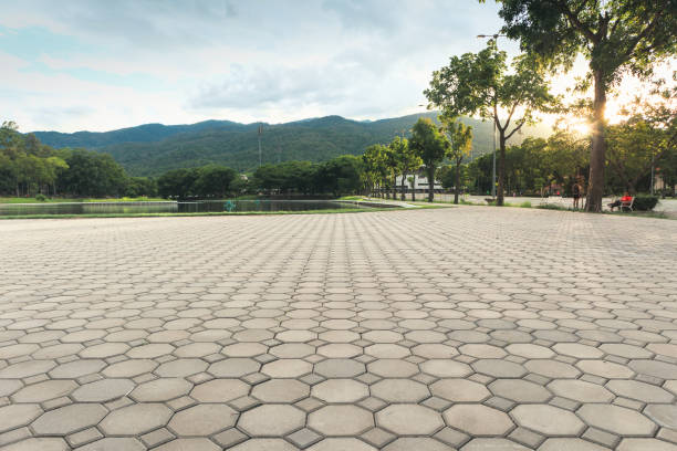 Best Driveway Pavers Near Me  in Carrabelle, FL